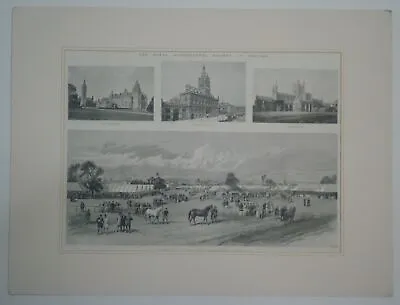 £14.95 • Buy EX ILN Royal Agricultural Society At Chester Original Wood Engraved Print