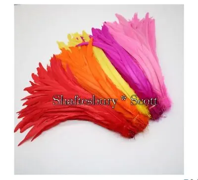 Rooster Feathers X 10 Long Rooster Tail Feathers 10  - 13  • £10.99