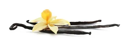 Mexican Vanilla Bean  A  Grade 10+1 Gourmet (Planifolia) • $19.95
