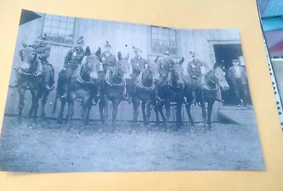 1910 Export PA. Westmoreland Coal Mine Co. Miners On Mules Dinner Buckets Lamps+ • $9.95