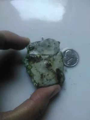 Natural Spiderweb Variscite Rough For Lapidary Nevada 51g • $105