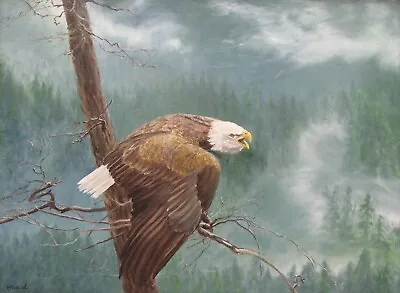 $75 • Buy Hand Copy Of Robert Bateman's  The Air, The Forest And The Watch  Eagle
