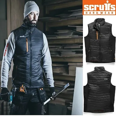 Scruffs Trade Body Warmer Work Worker Lightweight Flexible Soft Shell Panels • £43.99