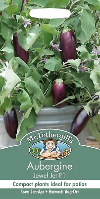 Aubergine Seeds Jewel Jet Mr Fothergill's Vegetable Seeds UK DELIVERY INCLUDED • £3.18