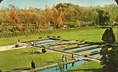 Postcard - The Fish Hatchery Allentown Pennsylvania   1301 • $5.35