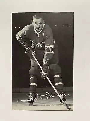 1968-69 Montreal Canadiens Team Issue Photo/Postcard - Ted Harris • $2.91