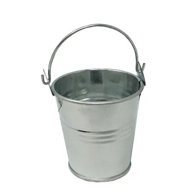 Mini Natural Metal Pail Bucket 2-Inch • $8.95