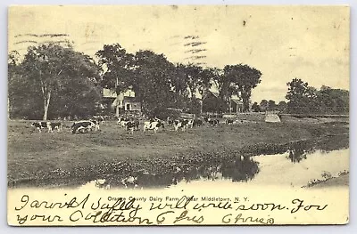 NY Middletown Orange County Dairy Farm Cows Pond UDB Posted 1906 • $4.75