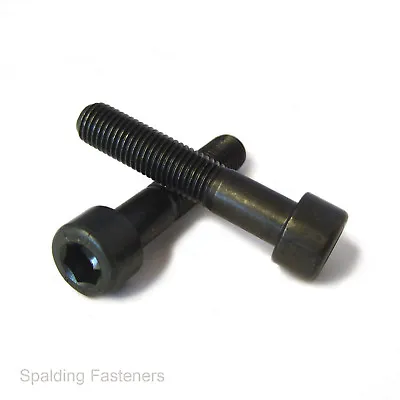 £2.29 • Buy M10 X 1 & M12 X 1.25 Metric Extra Fine Socket Allen Cap Screw Bolts 12.9 Grade