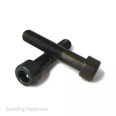 M10 X 1 & M12 X 1.25 Metric Fine Socket Cap Bolt Screws 12.9 High Tensile Steel • £2.65