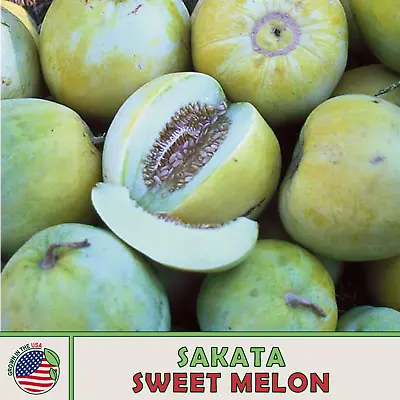 10 Sakata Sweet Melon Seeds Heirloom Non-GMO Genuine USA • $4.99