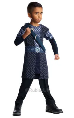 Boys Lord Of The Rings Thorin Costume • £12.95