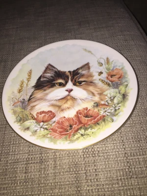£0.99 • Buy Royal Worcester Tortoiseshell Cat Chain Plate