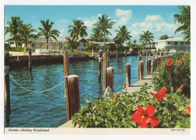 Holiday Wonderland Florida Vintage 4 X 6 Postcard Unposted • $3.95