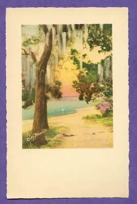 E.G. Barnhill Florida Tree Path River Moss Egret Orig Art Print NOS Saxony FL • $1.95