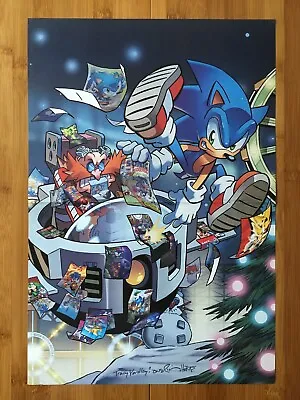 $29.99 • Buy Sonic The Hedgehog 2-Sided Poster Official Tracy Yardley/Ben Bates Art SEGA Rare