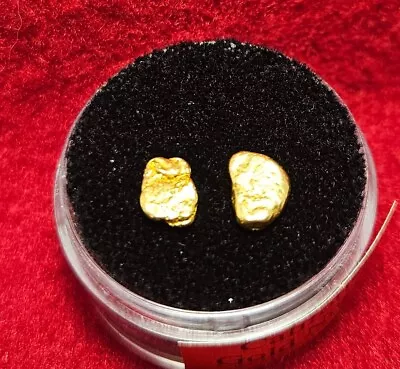 California Natural Gold Nugget 1.2 Grams Total Weight In A Gem Jar W/lid • $90