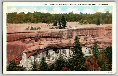 Colorado CO - Spruce Tree House - Mesa Verde National Park - Vintage Postcard • $7.64