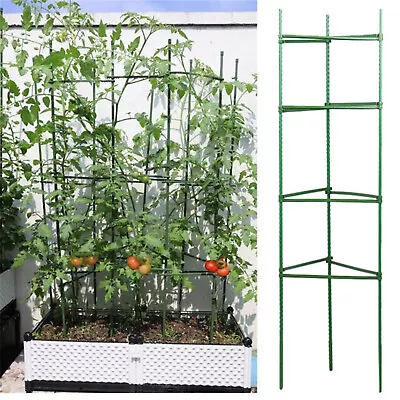 12Pc Garden Vegetables Stakes For Plant Cage Support Tomato Cage For Stake Green • £7.13