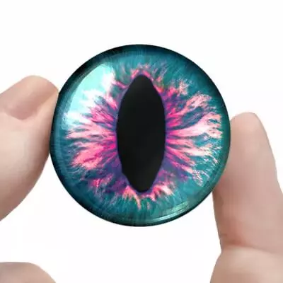 Glass Eyes Monster Taxidermy Craft Eyeballs 30mm • $13.99