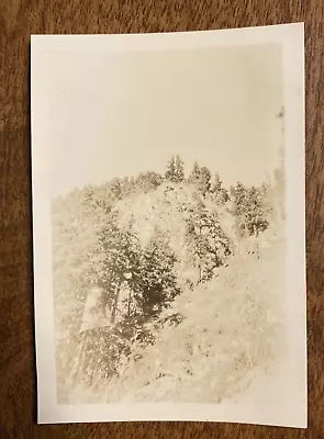 1946 Woods Near Mt. Rainier Shadow Lake Washington WA Trees Real Photo P3j26 • $9.99