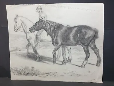 Early 20th Century Drawing Of Horse Polo Pony Pencil Sketch On Paper • £25