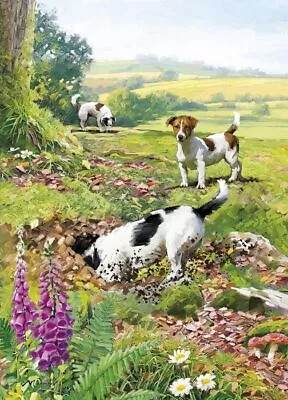 Birthday Card - Jack Russell Dog Digging - Country Cards • £3.19