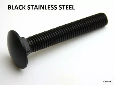 Black Stainless Steel Carriage Bolts M5 M6 M8 Coach Bolts Cup Square Coach Screw • £7.33