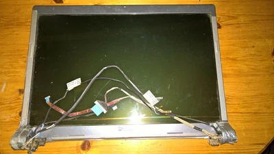 £18 • Buy Dell Studio 1737 Screen Assembly & Switches. Failed Backlight & Broken Surround.
