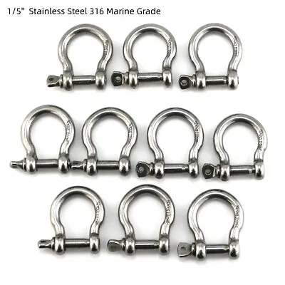 1/5 1/4 5/16 3/8 1/2 5/8 Stainless Steel D Ring Shackle Clevis Bow Shackle • $10.99