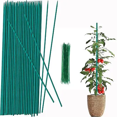 $13.28 • Buy 30 Pack Plant Stake Support 17 Inch Garden Stakes For Amaryllis Orchid Lily Rose