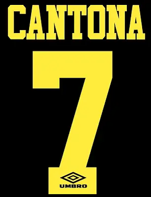Manchester United Cantona Nameset Shirt Soccer Number Letter Heat Football Away • £12.50