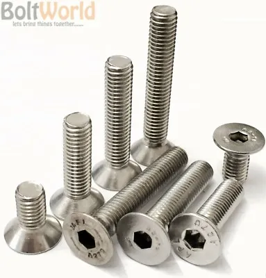 £43.85 • Buy M3 M4 M5 M6 M8 A2 Stainless Steel Countersunk Bolts Csk Allen Socket Screws 7991