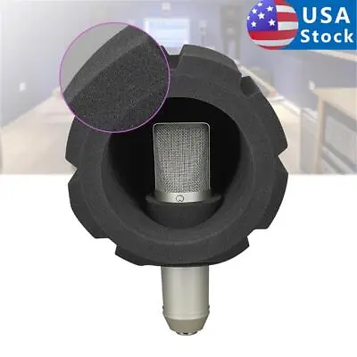 F2 Microphone Screen Acoustic Sponge Recording Windscreen Filter Vocal Black US • $17.98