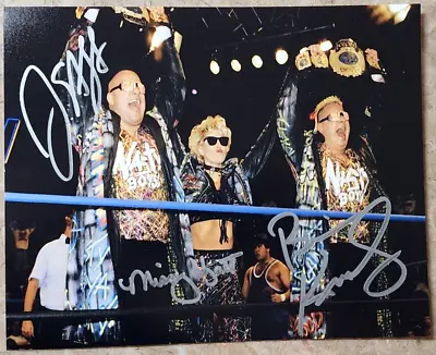 Nasty Boys / Missy Hyatt Triple SIGNED Photo Autograph 8x10 - WWE WCW • $44.99