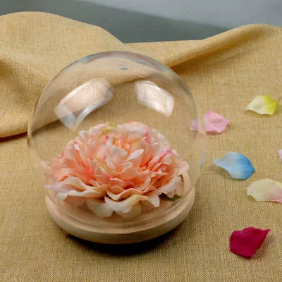 £9.95 • Buy Small/Large Glass Stand Display Tealight Cloche Globe Bell Jar Dome W/Wood Base