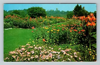 $7.99 • Buy Allentown PA- Pennsylvania, Rose Guardians, Flowers, Vintage Postcard