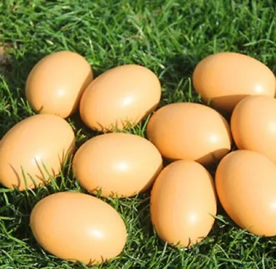 Fake Nest Eggs Wooden Brown Easter Eggs For Craft Get Hens To Lay Eggs 6Pcs • $9.68