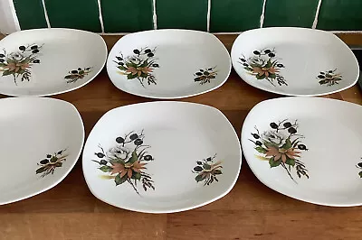 Vintage Midwinter Stylecraft Fashion Shape Countryside Pattern Cake Plates X6 • £7