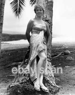 Actress Vera Miles  Leggy Cheesecake    8x10 Photo 95 • $14.99