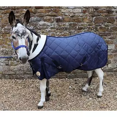 Ruggles Shetland-Miniature-Donkey-Section A 200g Stable Rug With Fleece Collar • £51