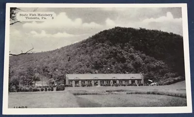 State Fish Hatchery Tionesta PA Postcard • $4.50