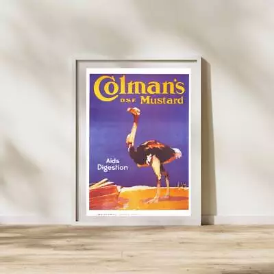 Vintage 1950s Colmans Mustard Ostrich Promotional Print Poster A3 & A4 • £11