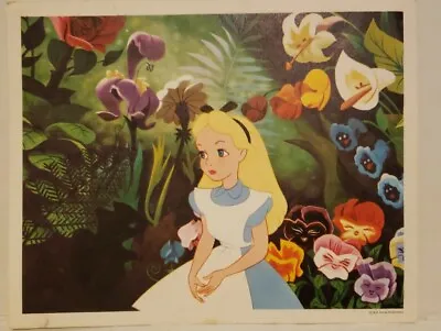 Alice In Wonderland Walt Disney Productions Vintage Picture Gorgeous • $39.95