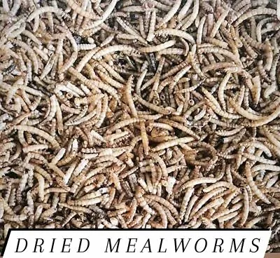 Mealworms Freeze Dried Bulk For Chickens And/or Fish Choose Size!! • $7.99