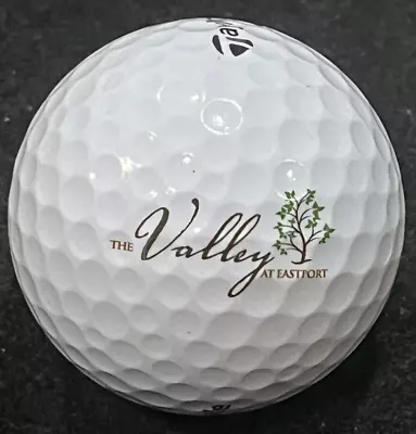 The Valley At Eastport Golf Club Logo Golf Ball Myrtle Beach SC • $9.99