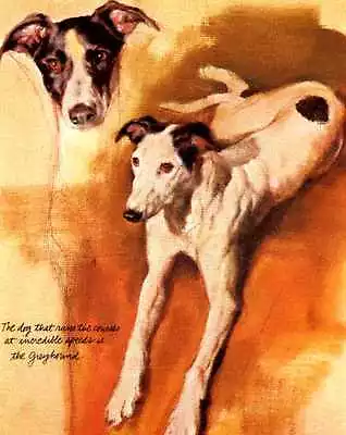 Greyhound - CUSTOM MATTED - Vintage Dog Art Print - Poortvliet • $15