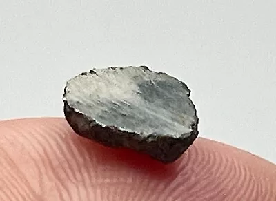 GUJBA 0.863g Polished Meteorite Half Sphere CBa Carbonaceous Bencubbin-Like • $87