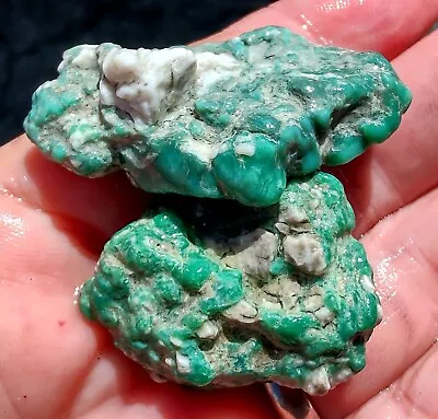 Rawk11: Lucin Variscite Botryoidal Nodule Rough-2 Piece-(AKA Utah Turquoise)! • $4.99