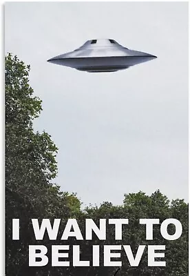 The X Files I Want To Believe Poster - I Want To Believe Posters • $19.98